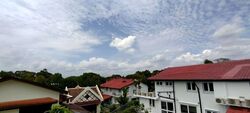 Tanglin Rise (D10), Detached #595188871